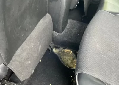 Professional Car Deep Cleaning